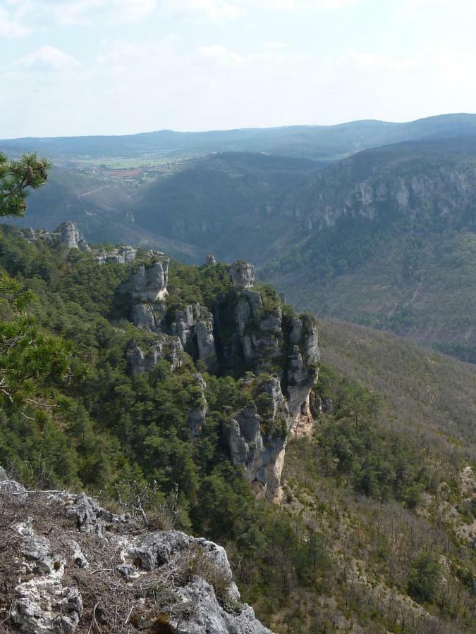 Le Passe Compose Villa Millau Ngoại thất bức ảnh